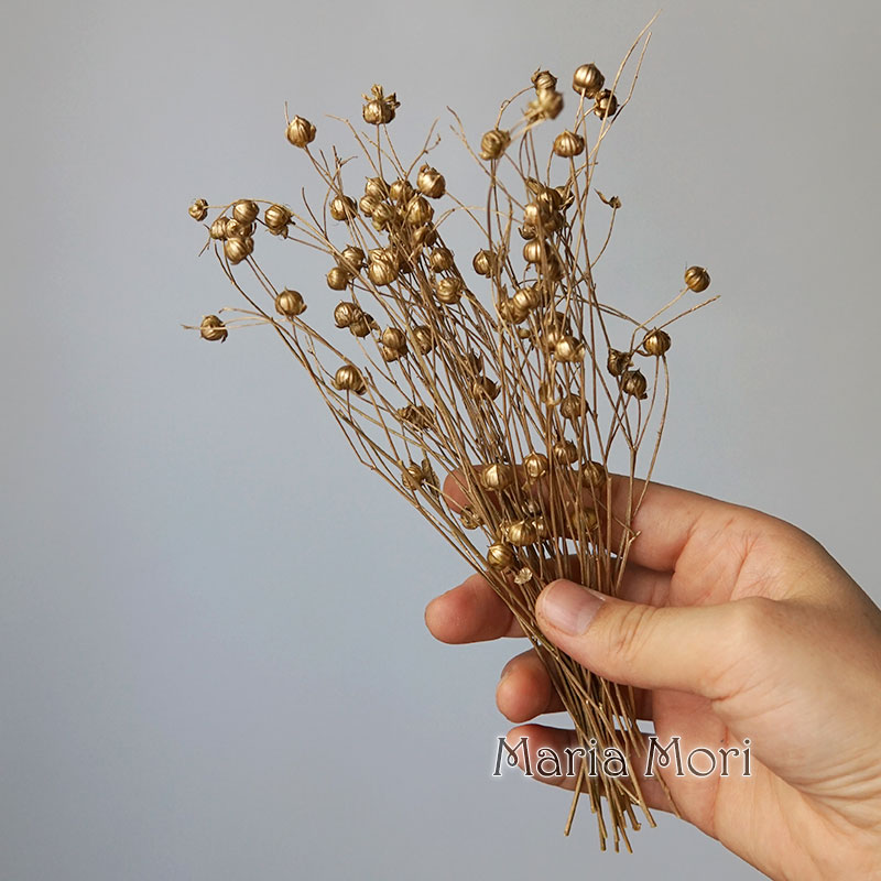 5g/Preserved Flax Bean Natural - Candle Making Supplies review and price